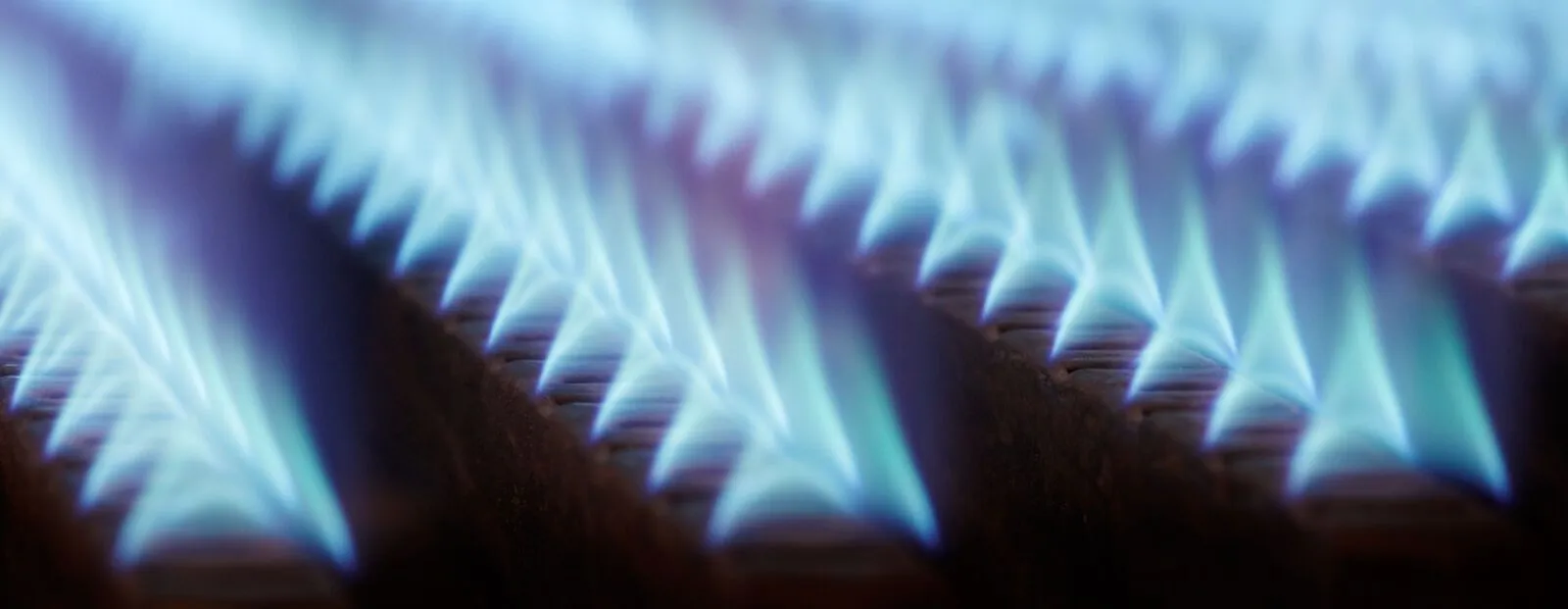 gas flames in a boiler 01.jpg